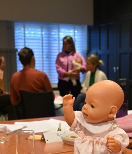 Infant Family Associate basiscursus IMH