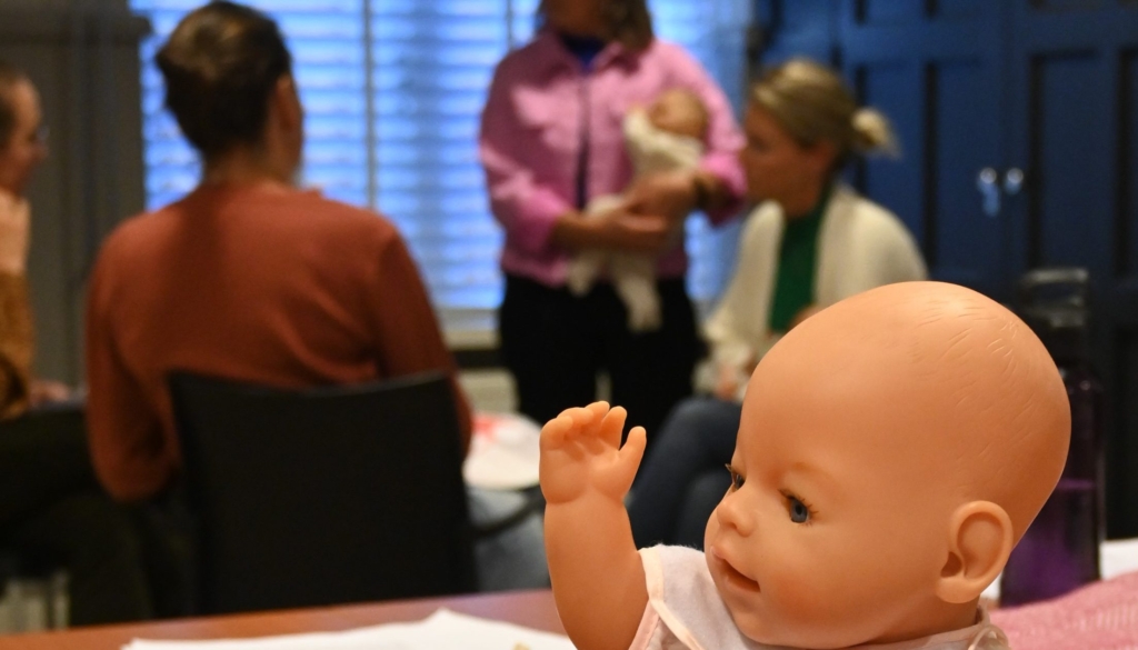 Infant Family Associate basiscursus IMH