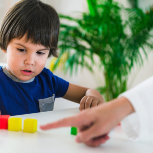 Webinar: 'Zin en onzin van onderzoek naar intelligentie bij baby’s en peuters' door Selma Ruiter