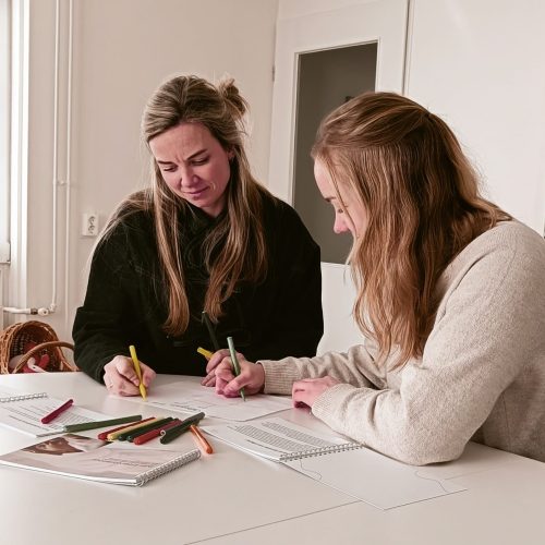 (Gratis) inloopuur IMH scholing en implementatie
